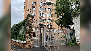 Появилось видео, как неизвестные пытаются прорваться в квартиру Долиной