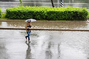 В Омской области ввели режим ЧС из-за мощных ливней и отодвинули сбор урожая