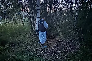 В Ярославской области в распределительном колодце найдено тело мальчика