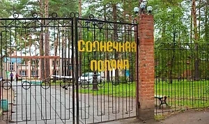 В Челябинске сотрудники лагеря хотели сделать фото со змеёй в лесу, но она сделала «кусь»