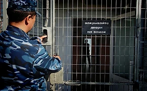 Суд в Ессентуках арестовал члена террористической ячейки в колонии Калмыкии