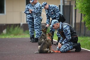 Уже в сентябре эти детишки начнут учёбу в «Щенячьем патруле»