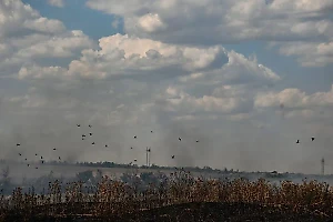 Украинцев готовят к новой беде из Африки: "Расслабляться не имеем права!"