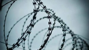 На месте захоронения узников "Дулаг-101" в Ленобласти нашли останки более 40 человек