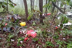 Появились фото с места крушения частного самолёта омских туристов в Приморье