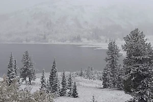 Погода сошла с ума: Сентябрьский снегопад заметает Красноярский край