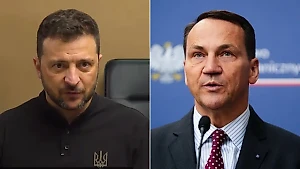 Грызню Зеленского и Сикорского сравнили с отношениями кошки и собаки