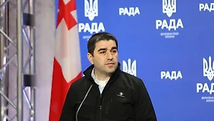 Парламент Грузии обвинил США в нападении на страну