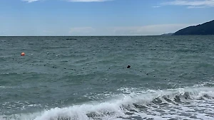 В Абхазии нашли тело утонувшего петербуржца после трёх дней поисков 