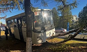 В Ульяновске МАЗ влетел в автобус, среди пострадавших есть дети