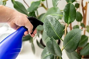 Биолог рассказал, какие пестициды могла добавить в пельмени семья под Красноярском