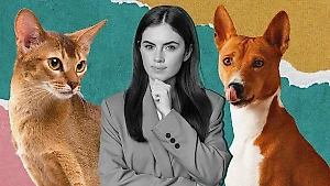 Тест: Вы кошка или собака по характеру — ответьте на 10 вопросов и узнайте