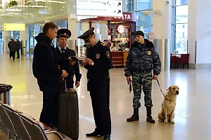 В МВД объяснили принцип работы публичного реестра нелегальных мигрантов