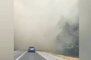 В Ростовской области ввели режим ЧС из-за лесных пожаров