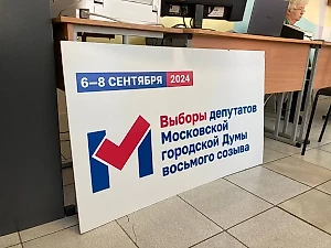 Более 2,6 млн человек проголосовали на выборах в Мосгордуму за первые 36 часов