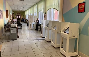 Политолог подтвердила прогнозы, которые ранее делали о сентябрьских выборах 