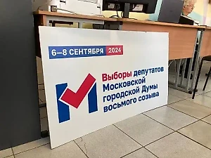 Московская система онлайн-голосования отразила 266 кибератак