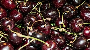 Биолог открыл неожиданную пользу «молодильных» фруктов для тех, кто мёрзнет зимой