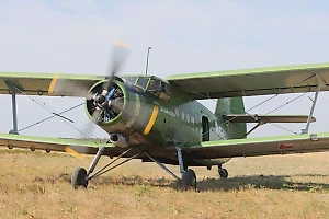 Названа причина крушения самолёта Ан-2 в Подмосковье