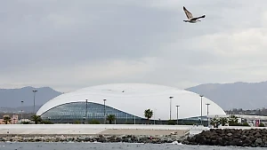 Посетителям выставки "Россия" рассказали о достижениях "Сириуса"