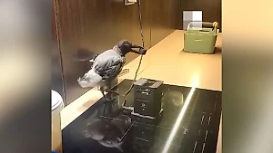 В Екатеринбурге хозяева воронёнка научили птенца разогревать угли для кальяна