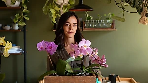 5 комнатных растений, которые нельзя ставить в доме незамужней девушки