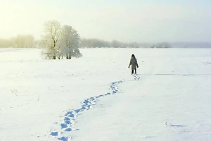 Россиянка с другом заблудилась по дороге домой и замёрзла насмерть у него на руках