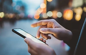 Открыт метод создания прозрачной древесины для производства гаджетов