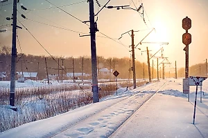 12-летний школьник организовал поджог ж/д в Подмосковье