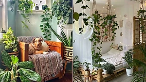 10 очаровательных квартир, которые обустроили девушки, и это видно по одному взгляду