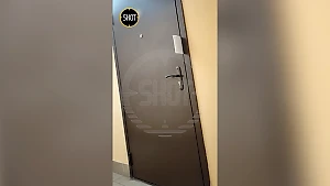 Кот уже неделю жалобно мяукает в запертой квартире в Москве