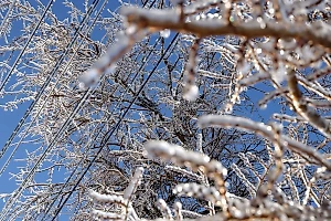 Ледяной дождь накрыл юг России, в городах отменяют занятия в школах и вводят режим ЧС