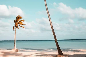 Россиянам посоветовали не ждать снижения стоимости на отдых в Турции