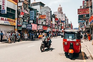 Опасная тропическая лихорадка массово косит россиян на Шри-Ланке, одна женщина умерла