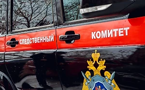 Раскрыты подробности убийства мужем парализованной жены на Урале