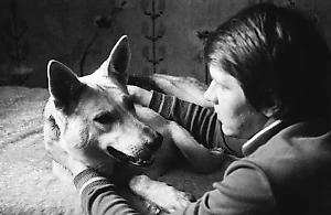 За какими домашними питомцами жители СССР годами стояли в очередях: 6 дефицитных пород