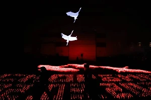 Российские регионы присоединились к акции памяти "Летят журавли"