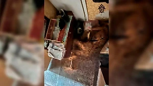 Жуткую мумию человека в позе эмбриона нашли в квартире на севере Москвы