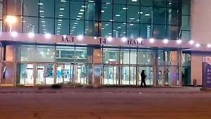 Шокированный президент Финляндии в запоздалом посте поверил в старый фейк о теракте в "Крокусе"