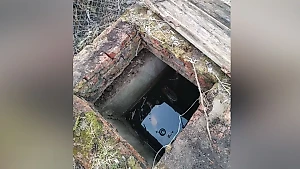 В Псковской области нашли мёртвым пропавшего с детской площадки 5-летнего мальчика