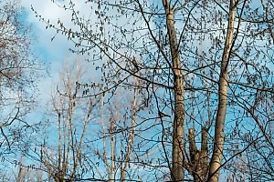 Синоптик рассказал, когда в Москве растает весь снег