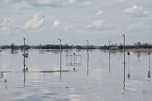 Воробьёв назвал самый уязвимый для половодья подмосковный регион