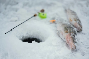 Два человека утонули на рыбалке на Сахалине, провалившись под лёд