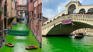 Экоактивисты превратили в болото Большой канал в Венеции 