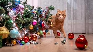 6 советов о том, как уберечь новогоднюю ёлку от котов и наоборот 