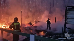 Восемь лошадей погибло при пожаре в московской конюшне