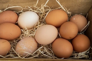 Минсельхоз отчитался о мерах, принятых для стабилизации стоимости яиц