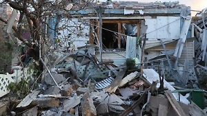 Украинский снаряд ранил человека и убил 12 коров в белгородском посёлке