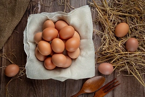 Патрушев рассказал, когда начнутся поставки яиц из Турции