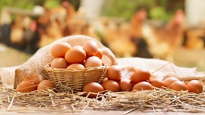 ФАС не видит причин для скачка цен на другие продукты вслед за яйцами